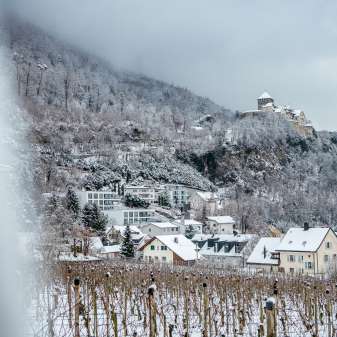 Besneeuwde wijngaarden en huizen in Vaduz met uitzicht op Kasteel Vaduz op een winterse dag