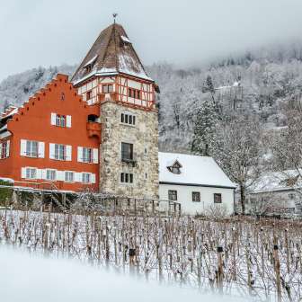 Vaduz in de winter