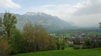Uitzicht vanaf de Eschnerberg over het Rijndal met weelderige groene weiden, lentebomen en het imposante Alpenpanorama in Liechtenstein - geniet van de natuur en het uitzicht in Unterland (laagland).