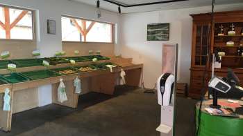 Zelfbedieningsruimte van de Birkahoflädile met lege verkooptafels en groene kassa - duurzame boerderijverkoop in Liechtenstein.