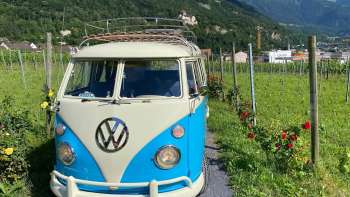 Nostalgische VW-bus op een pad door de wijngaarden met uitzicht op het kasteel van Vaduz