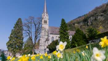 Bloemenweide voor de St Florin Kathedraal in Vaduz - een indrukwekkende lentesfeer in Liechtenstein.
