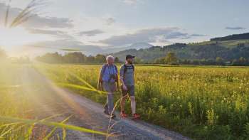 Wandel met Marco Büchel over de "Liechtenstein-Weg" met uitzicht op idyllische weiden.