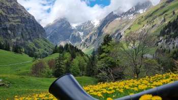Alphorn te midden van bloeiende paardenbloemweiden in de Alpenvallei van Liechtenstein met uitzicht op besneeuwde bergtoppen - een traditionele muzikale ervaring in de Alpen.