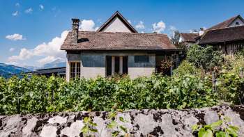Traditioneel huis van restaurant Torkel, omgeven door wijnranken met uitzicht op de Alpen.