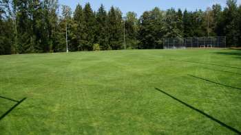 Schellenberg sportveld