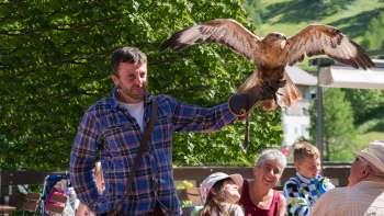Een valkenier presenteert een roofvogel, kinderen en volwassenen kijken enthousiast toe.