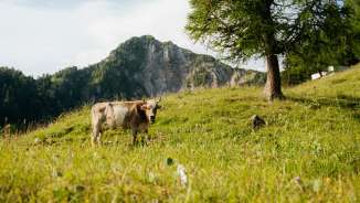 Wandelen in Liechtenstein