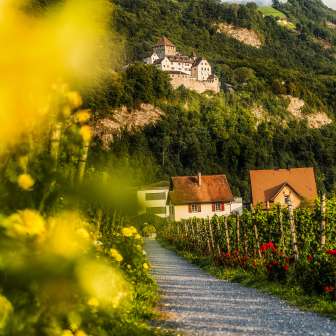 Uitzicht op kasteel Vaduz vanaf het wijnpad door de wijngaarden met bloemen, wijnranken en huizen in Liechtenstein