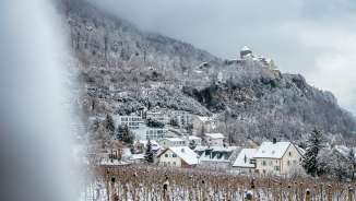 Besneeuwde wijngaarden en huizen in Vaduz met uitzicht op Kasteel Vaduz op een winterse dag