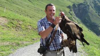 Valkenier met zijn roofvogel in de bergen van Liechtenstein