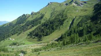 Groene alpenweiden en beboste hellingen rond Alp Lawena in Liechtenstein op een heldere zomerdag, met uitzicht op de omliggende bergen.