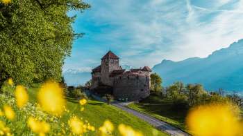 Kasteel van Vaduz met gele bloemen op de voorgrond op een zonnige lentedag