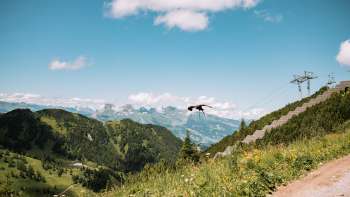 Adelaar vliegt in de bergen van Liechtenstein