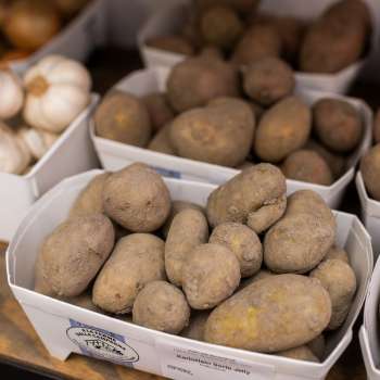 Vers geoogste aardappelen uit eigen productie in de boerderijwinkel van Neufeldhof - regionaal en natuurlijk.