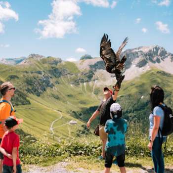 Familie kijkt naar een valkenier met een roofvogel tijdens een avontuurlijke tocht in de bergen van Malbun.