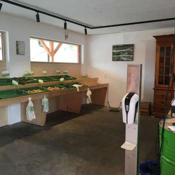Zelfbedieningsruimte van de Birkahoflädile met lege verkooptafels en groene kassa - duurzame boerderijverkoop in Liechtenstein.
