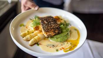 Close-up van een aspergegerecht met romige saus geserveerd op een wit bord in de Gaflei Stuba