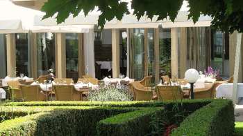 Zonnig tuinterras van restaurant Vivid met gedekte tafels en uitzicht op het groen