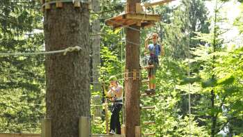 Twee mensen concentreren zich op een hoog touwenparcours tussen bomen
