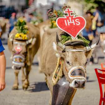 Koe met hartversiering en bloemenkrans tijdens de traditionele alpiene rit in Liechtenstein