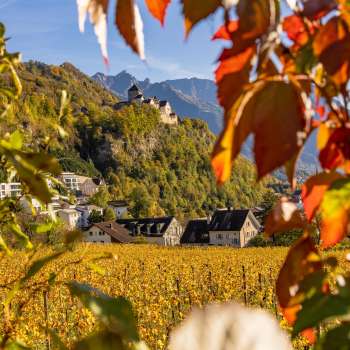 Uitzicht op Kasteel Vaduz in herfstsfeer