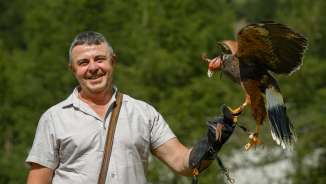 Valkenier Norman Vögeli met adelaar