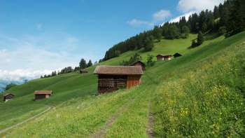 Alpenweiden met verspreide houten schuren op een groene helling bij Masescha.