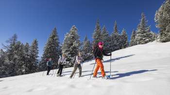 Groep sneeuwschoenwandelaars op een proefcursus in een besneeuwd winterlandschap onder een blauwe hemel in Malbun