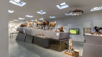 Nationaal Museum van Liechtenstein