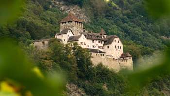 Uitzicht op Kasteel Vaduz door een groen bladerdak, genesteld in het beboste heuvellandschap van Liechtenstein.