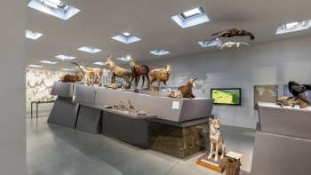  Natuurhistorische tentoonstelling in het Liechtensteins LandesMuseum