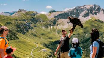 Familie kijkt naar valkenier met roofvogel