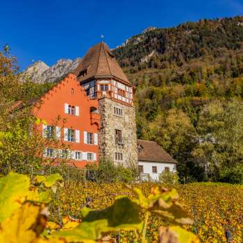 Het Rode Huis in Vaduz omringd door herfstige wijnranken op de heuvel.