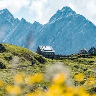 Ver uitzicht op de Pfälzerhütte in Liechtenstein met wilde bloemen op de voorgrond en steile rotspieken op de achtergrond