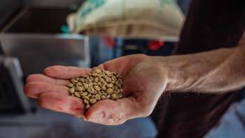 Close-up van een hand met koffiebonen van Demmel Kaffee
