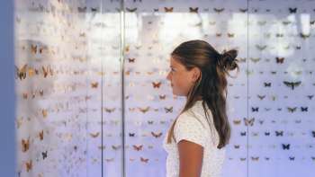 Nationaal Museum van Liechtenstein