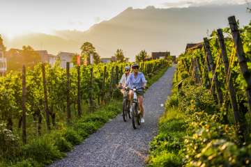 Twee fietsers in de wijngaarden van Liechtenstein bij zonsondergang - e-biketocht met uitzicht op de Alpen en wijnranken