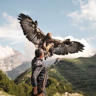 Valkenier Norman Vögeli presenteert een imposante steenarend tegen de achtergrond van een alpine berg - een indrukwekkend natuurspektakel op grote hoogte.