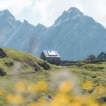 Pfälzerhütte met berglandschap op de achtergrond en bloemen op de voorgrond.