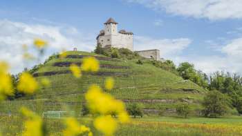 Gezicht op burcht Gutenburg met gele bloemen op de voorgrond en blauwe lucht op de achtergrond