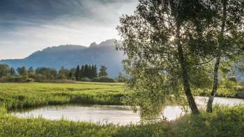Rustig waterlandschap in het Natuurreservaat Ruggeller riet met zacht zonlicht en uitzicht op de bergen op de achtergrond