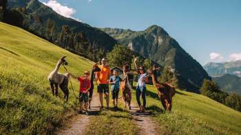 Groep wandelaars met alpaca's op een groene alpenweide in Triesenberg