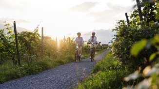 Twee vrouwen fietsen bij zonsondergang door de wijngaarden in Liechtenstein - genieten van de natuur en een actieve vakantie in de schemering