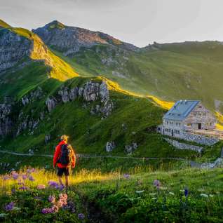 Wandelaar kijkt naar de Pfälzerhütte in Liechtenstein, omgeven door een groen berglandschap en Alpenpanorama in het avondlicht